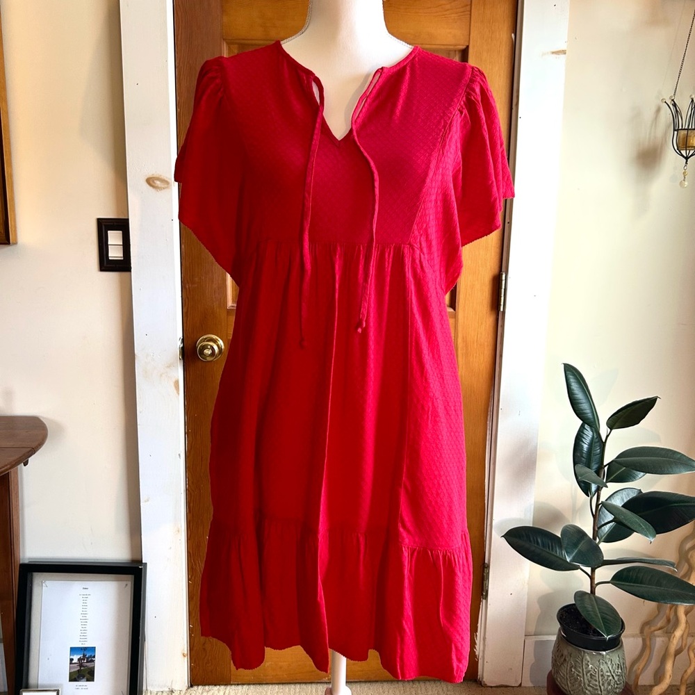 Knox Rose Red Mini Dress